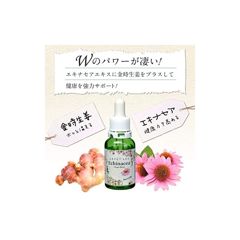 Echinacea Health Power Herb Concentrated Extract [Made in Japan] Simply