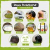 Organic Pumpkin Seed Oil Capsules, Pack of 400 Vegetable Capsules,
