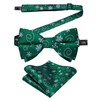 DiBanGu Boys Christmas Bowtie Set Silk Xmas Holiday Pre-tied Bowtie