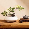 Eggone - Juego de arreglos de flores de cerámica japonesa