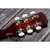 Musiclily 3 on a Plate Short Acoustic Guitar Tuning Pegs