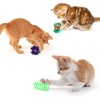 Mumoo Bear 20 Pcs Cat Toys for Indoor Kitten, Collapsible
