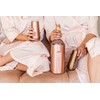 Vinglacé Wine Bottle Chiller- Portable Champagne Insulator- Stainless Steel Wine