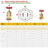 3/4" NPT Brass Gate Valve, Heavy Duty Female x Female