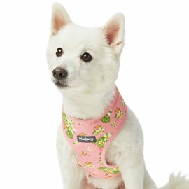 Blueberry Pet Summer Sparkle Dog Harness Vest, Adjustable X-Small Size, Chest Girth 13" - 16", Tropical Flower Baby Pink, Hibiscus Floral Print Pet Harness