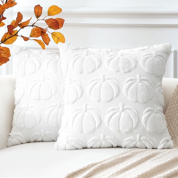 Artscope Fall Cushion Covers Set of 2 Autumn Pumpkin Throw