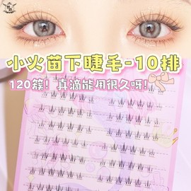 Mongru Individual Eyelashes - Natural Small Flare DM10 - Large Pack for Influencer Photography (Gentle Look) Free Size/Style 2 10ea