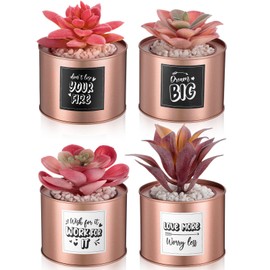 MTLEE 4 Pieces Rose Gold Succulent Plants Pink Office Decor for Women Desk Artificial Cactus in Pots Bedroom Bookshelf Home