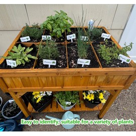 HIENAJ 12Pcs Herb Garden Signs 12 Styles Plant Labels for Outdoor Garden Acrylic Herb Garden Markers Waterproof Reusable Plant Stakes Tags with Names for Vegetables Indoor Outdoor Garden Decoration