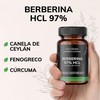 Quotidien | Berberina HCL 97% | 500mg de Berberina Clorhidrato,