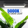 Barrina T8 Grow Lights for Indoor Plants, 5000K White Full