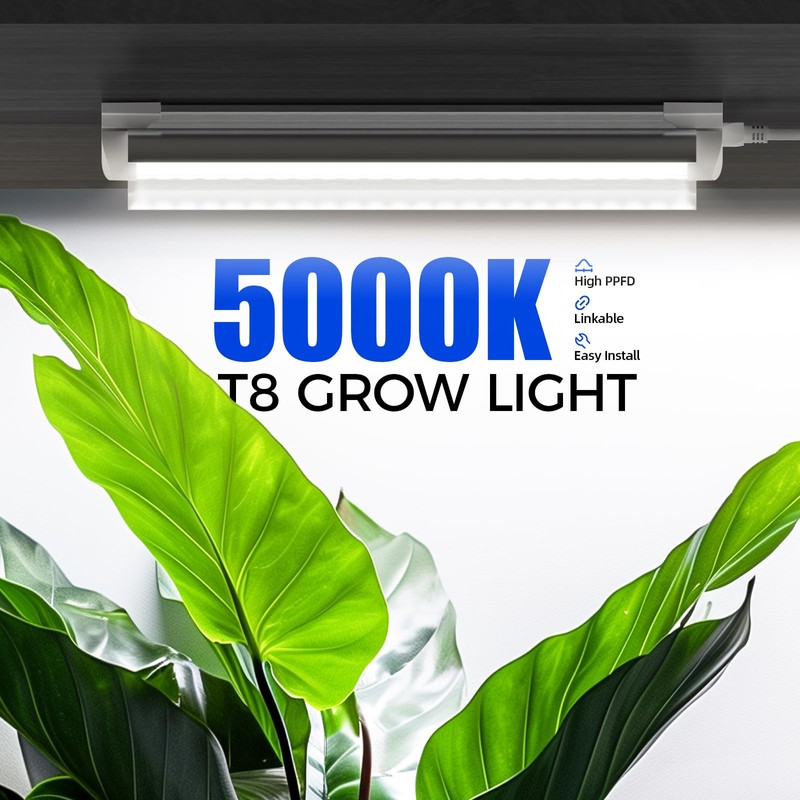 Barrina T8 Grow Lights for Indoor Plants, 5000K White Full