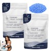 2 Pack Foaming Toilet Bowl Cleaner - Fast-Dissolving Fresh Scent