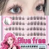Ainubio Partial False Eyelashes, Large Capacity, Natural Point Fit Eyelash