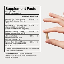 Terra Health Essentials Acid Relief - Plant Based Digestive Support Supplement for Comfortable Gut Function - Lemon Balm, Slippery Elm, Aloe Vera, DGL Licorice - 60 Capsules