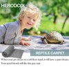 HERCOCCI 2 Pack Reptile Carpet, 39’’ x 20’’ Terrarium Bedding