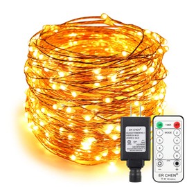 ER CHEN 99ft Led String Lights,300 Led Fairy Starry Lights on 30M Copper Wire String Lights + 12V DC Power Adapter + RF Remote Control for Christmas (Warm White)