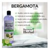 Caja 6pz Surtida Shampoo Secreto Herbal Romero Chile Bergamota