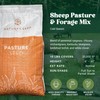 Nature's Seed Northern Sheep Forage Mix, Cattle Pasture Grass Seed