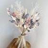 120pcs Gray Bunny Tail Pampas Grass Dried Flowers for Vase