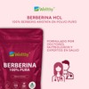 Wellthy Berberina Pura 200 Cápsulas. 100% Berberis Aristata, 500mg c/u,