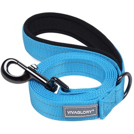 VIVAGLORY Dog Lead, Dog Walking Lead with Comfortable Padded Handle, Reflective for Safety, Heavy Duty Training Lead for Medium & Large Dogs, Lake Blue, 150 x 2.5 cm