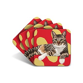 Tabby Cat II - Set of 4 Coasters - Leslie Gerry Animal Gifts