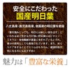 明日葉粒 (90粒/約1ヶ月分)【123000200231001】