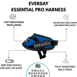 ShawnCo Essential Pro Dog Harness, No-Pull Pet Vest with 3 Leash Clips and Removable, Reflective Side Patches, Adjustable and Padded Harness for Small, Medium and Large Dogs (Electric Blue, XS)