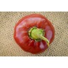 Nora Basque Heirloom Pepper Premium Seeds for Planting Packet +