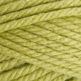Stylecraft 9101822 Special XL Super Chunky Pistachio (1822) Yarn - 200g