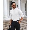 Lion Nardo Mens Dress Shirts Wrinkle Free Dress Shirts for