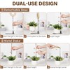 LORDEM Bamboo Base Desktop Grow Light, LED Plant Lamp with