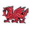Metal Enamel Pin Badge Wales Red Dragon Welsh National Cymru