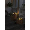 Konstsmide LED Acrylic Pigs Set of 5, Transparent, 40 Warm