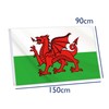 Welsh Flag,Big 3x5 FT Wales Dragon Flag,36x60 Inch Large Digitial