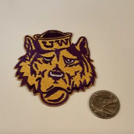 UW WASHINGTON HUSKIES  vintage iron on embroidered patch 3” X 2.5”