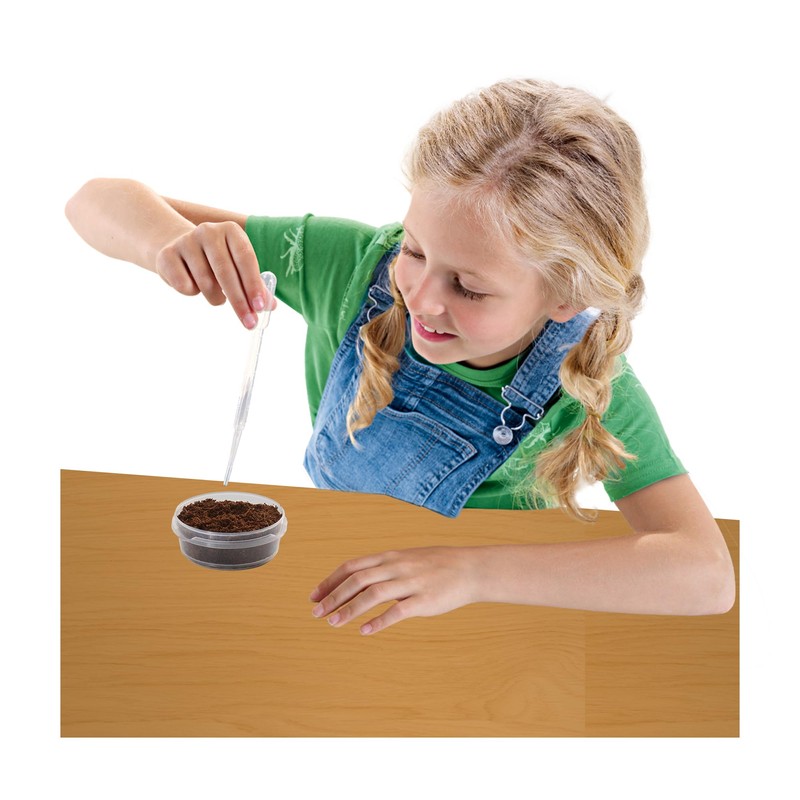 SES Creative 25202 - Wooden Treehouse Growing Kit - Grow
