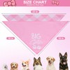 PAWCHIE Big Sister Little Sister Dog Bandana 2 Pack,Pink Pet