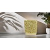 Hymmah Bathroom Trash Can 1.8 Gallon(7 Liter) Small Kitchen Garbage