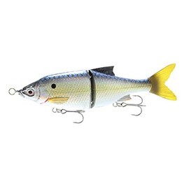 Savage Gear 3D Shine Glide - Señuelo de Fregadero Lento, Currican 5 1/4SG-135-TF