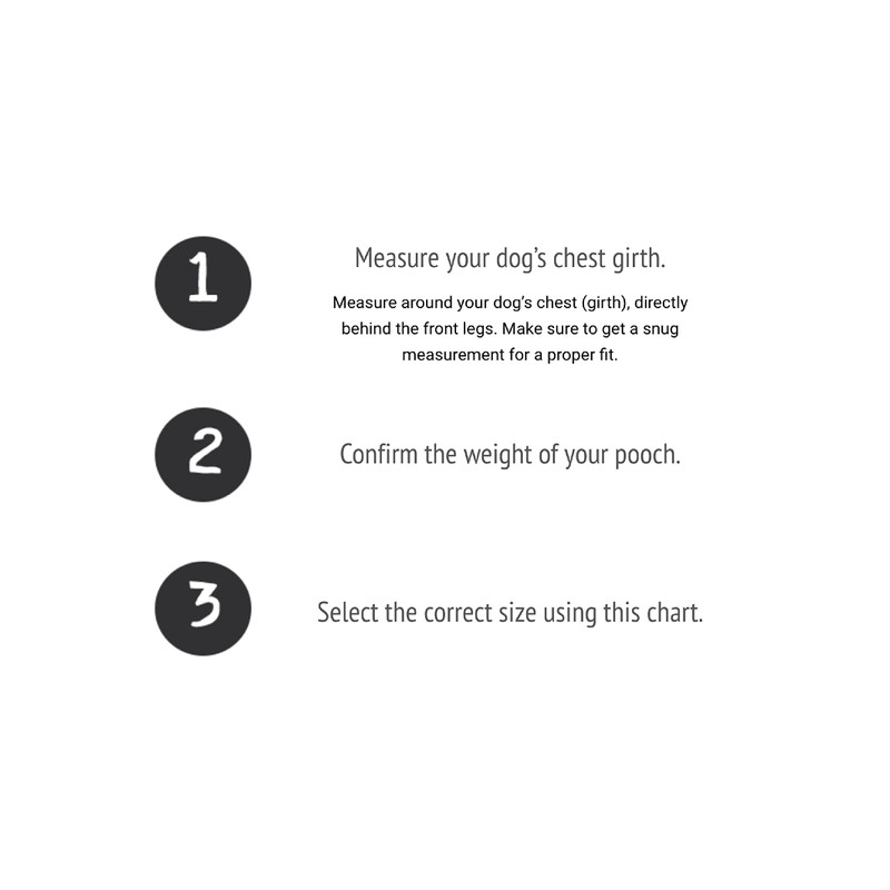 BUDDY BELT Buddy Belts Harness Pebble Grain Red - Premium