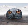 alpine [vju:] - Ski Goggles Protection | Goggle Protective Cover