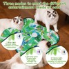 GOHHME Cat Toys Interactive For Indoor Cats Kitten, Automatic Cat