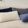 Kevin Textile Soft Plush 12x24 Inch Lumbar Pillow Cover 1