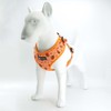Dog Harness and Leash Set, Adjustable Dog Harness, Dog Leash,