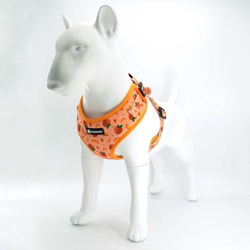 Dog Harness and Leash Set, Adjustable Dog Harness, Dog Leash,