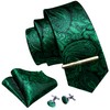 Barry.Wang Men's Plain Paisley Tie Satin with Pocket Square Wedding