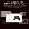 BIGBIG WON Gale Hall ゲームコントローラー、カスタムボタン、マクロ、ターボ、Switch/PC用デュアルショックコントローラー (Grey)