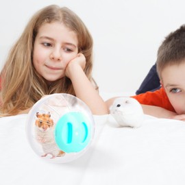 Pack of 2 Hamster Balls, Gymnastics Ball, Hamster 14.5 cm, Dwarf Hamster Ball, Hamster Ball, Hamster Running Ball, Hamster Wheel Exercise Ball, Plastic, Jogging Ball, Small Animals Toy for Mice (Blue